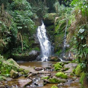 Rio Bonito de Cima